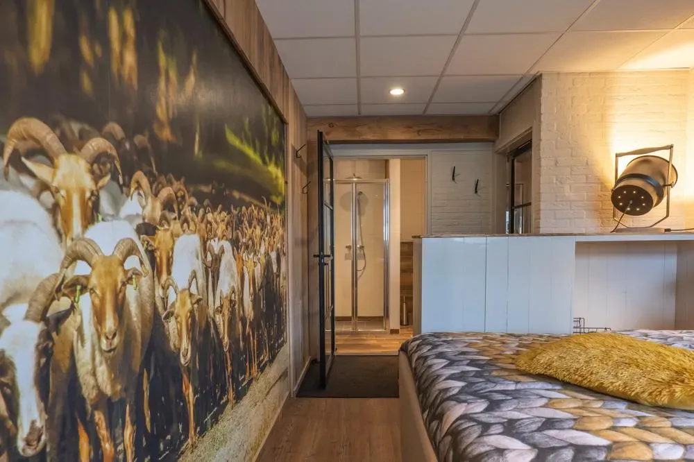 B&B | Vakantie appartement Drenthe | Genieten zoals het hoort